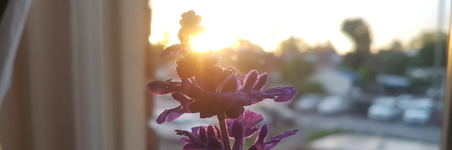 jesarbour's profile banner image