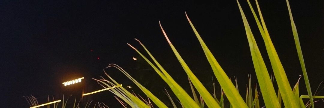 Aug_Aphro's profile banner image