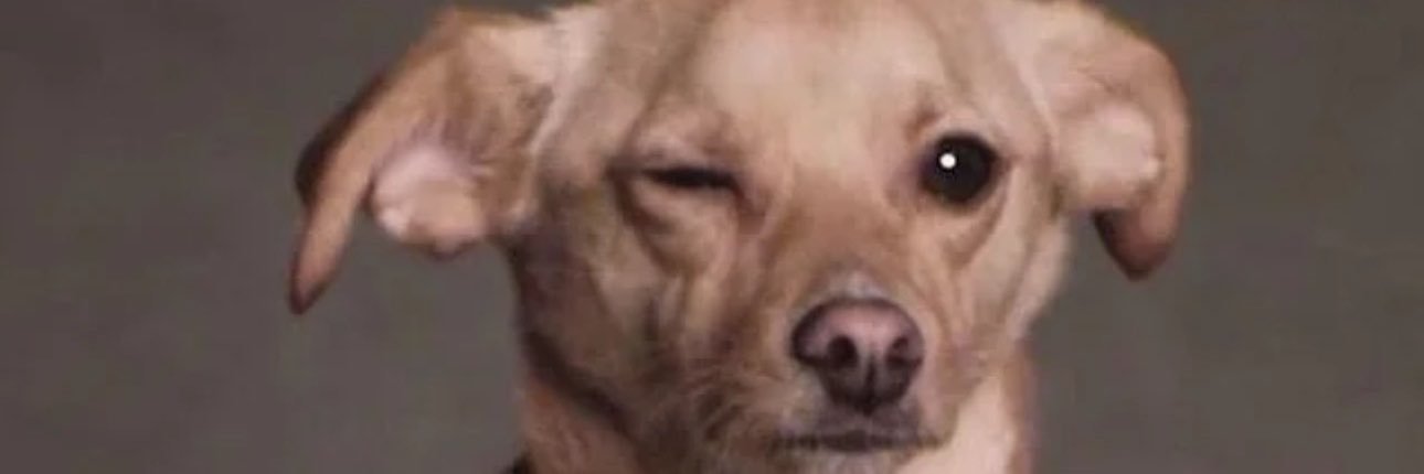 peppersp0v's profile banner image