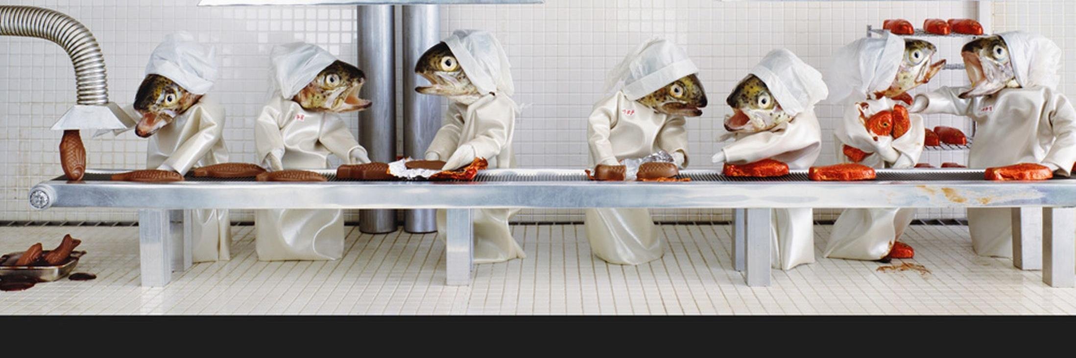 @FishJournals banner