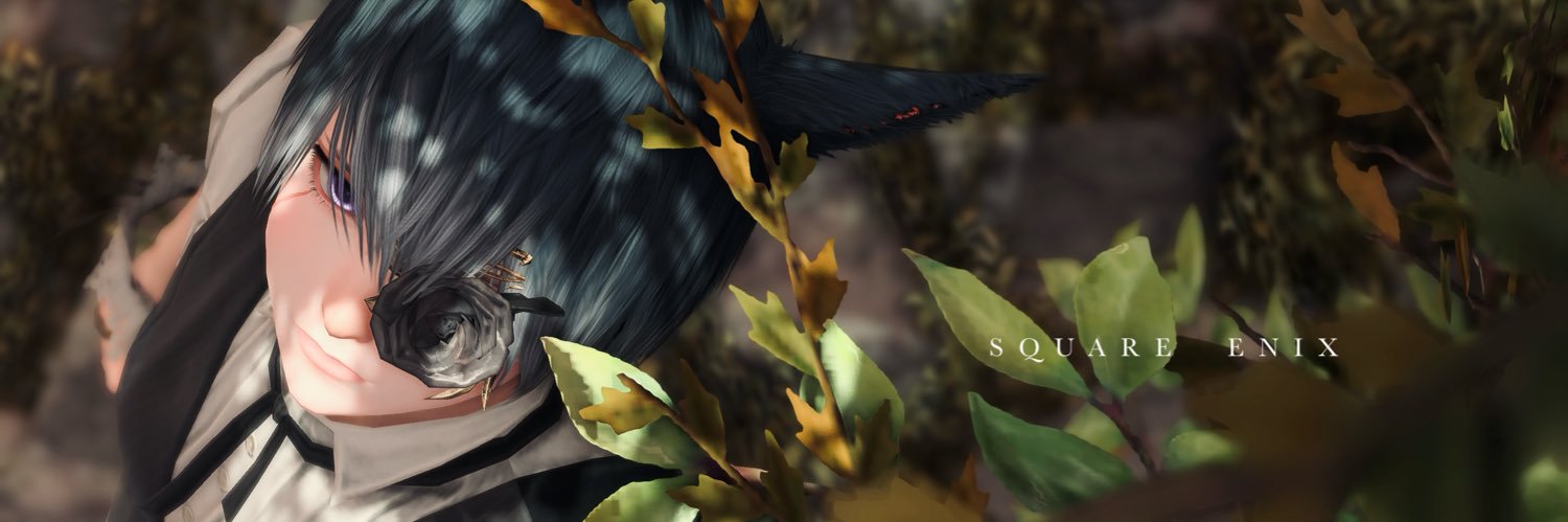 llollmn's profile banner image