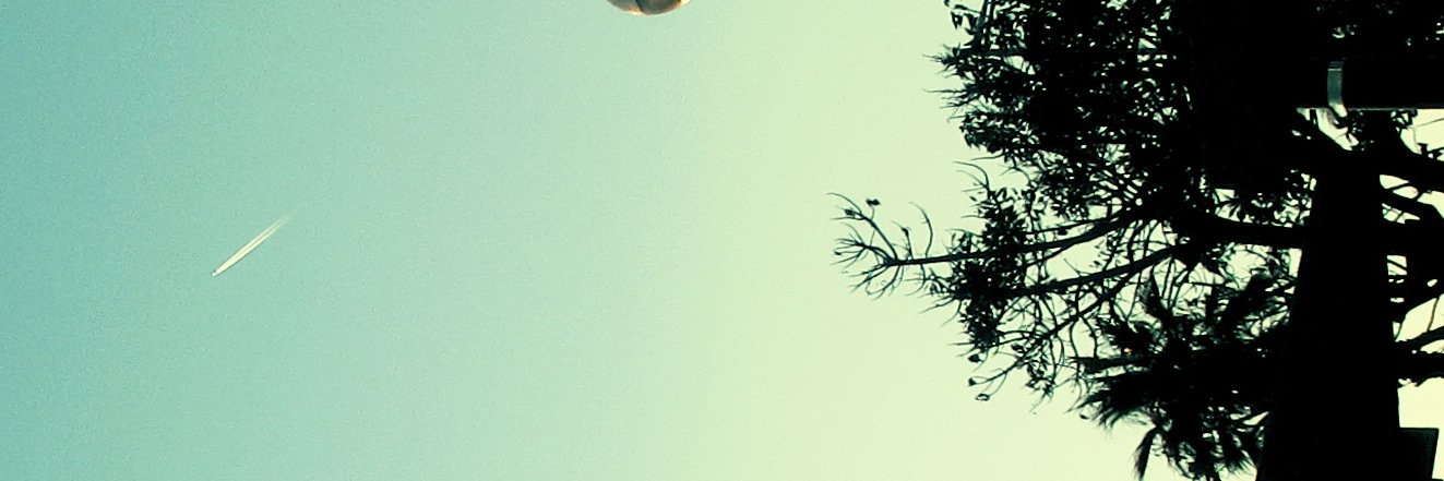 Muysua's profile banner image