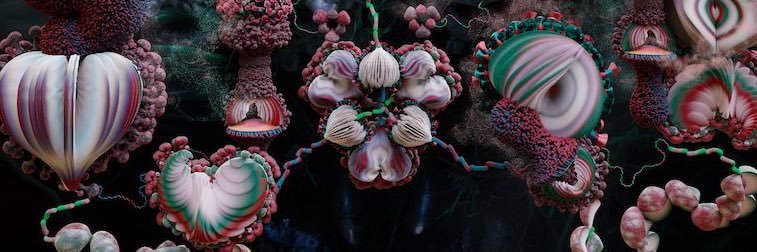 🪲🐛 MELL 🪰🪳 banner