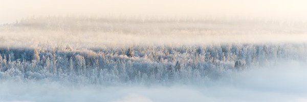 _real_frank Profile Banner