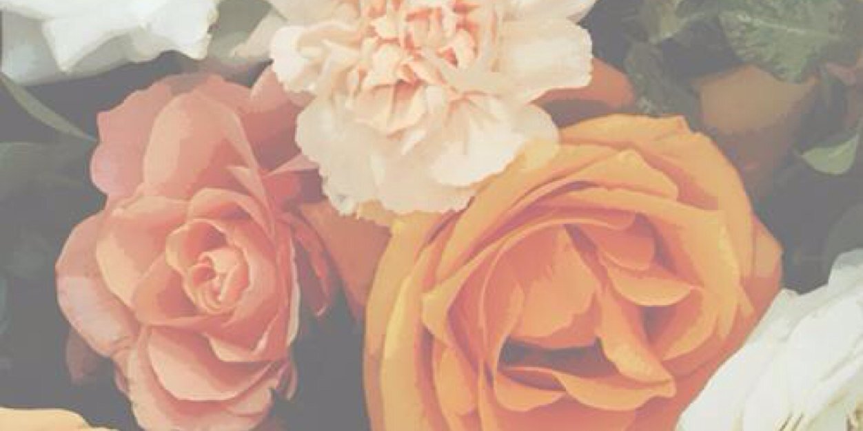 XHeartxStopsX's profile banner image