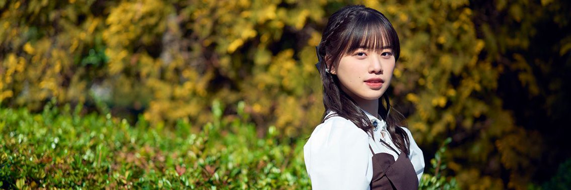 mirmikae's profile banner image