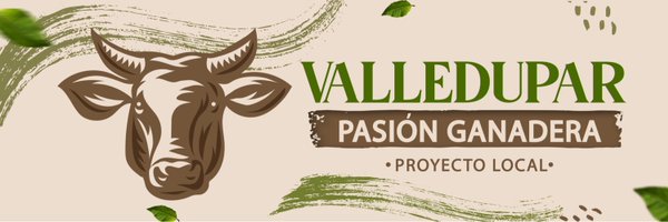 plvalledupar Profile Banner