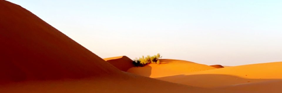Abth_alshmal's profile banner image