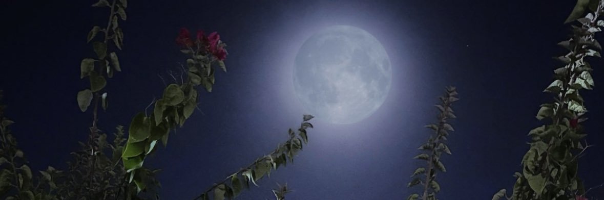 ADEBAH_D's profile banner image