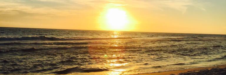vjc's profile banner image
