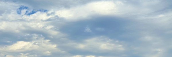 xEnyacorn Profile Banner