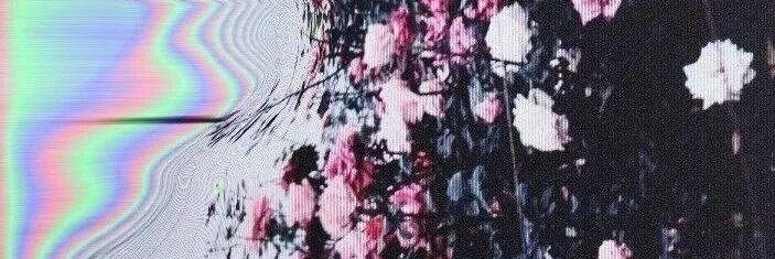 heilcatss's profile banner image