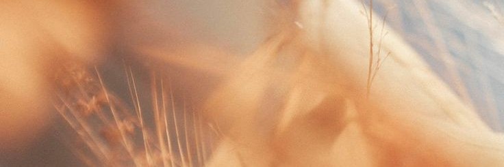 venna_jala's profile banner image