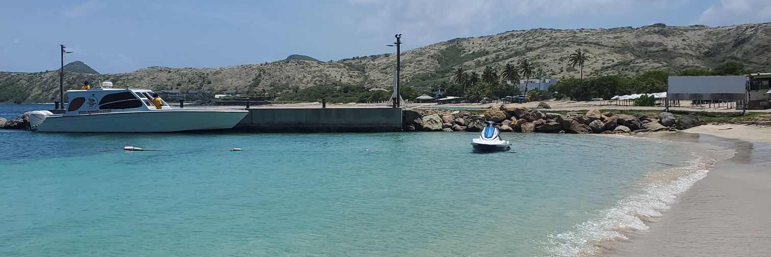 Nicole Maloney Belle banner