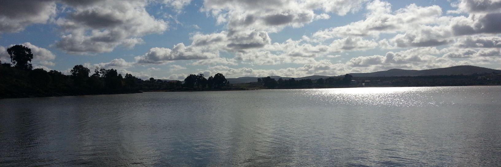 miguelsanchezgalindo banner