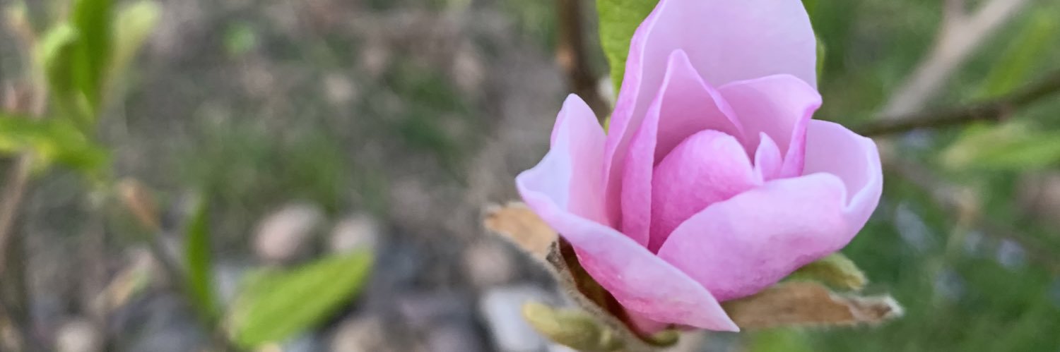 KatieYaddof's profile banner image