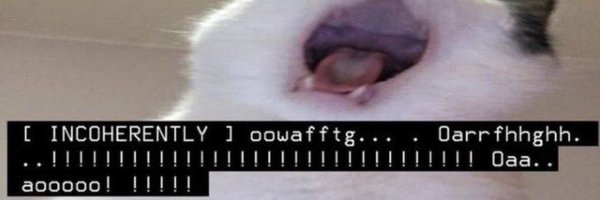 normal_magpie Profile Banner