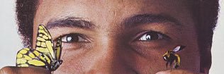swagnerforever's profile banner image