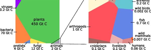 hannahjwaters Profile Banner