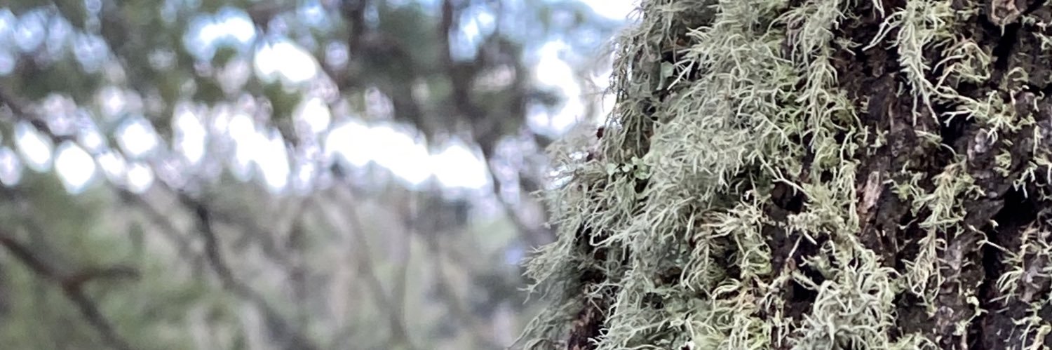 mikeblakeman's profile banner image