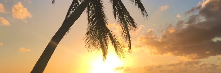 lovelexifree's profile banner image