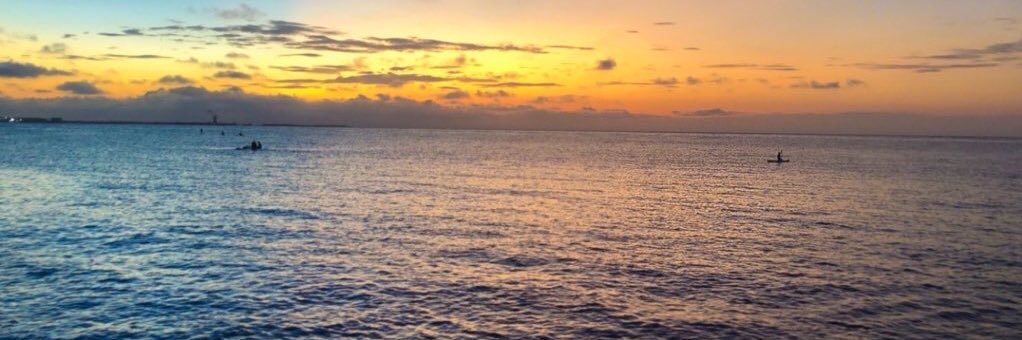 Alejandra Quevedo💛 banner