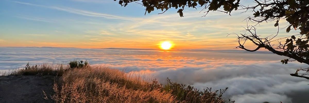 chambonacaro's profile banner image