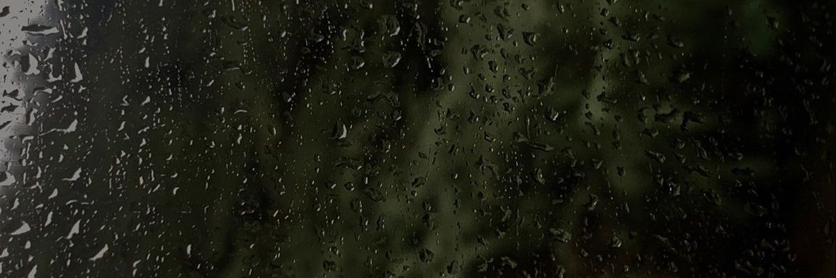 riki banner