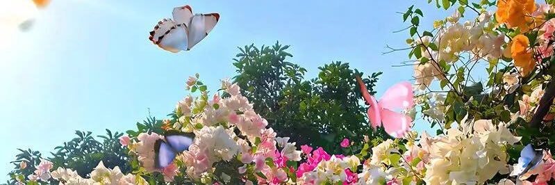 nini🥕 banner