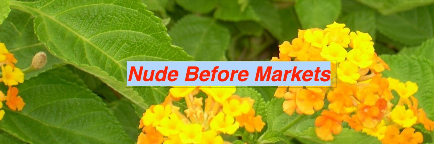 RamaKrishna Vadlamudi, CFA banner