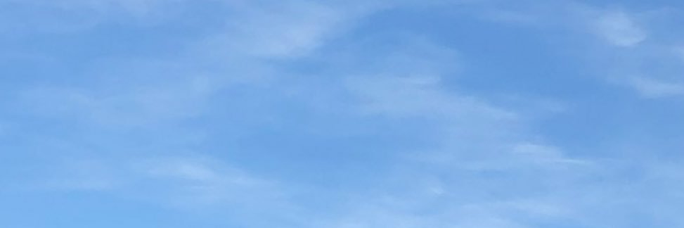 Teddy banner