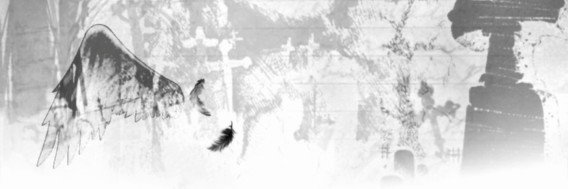 B0REDTED's profile banner image