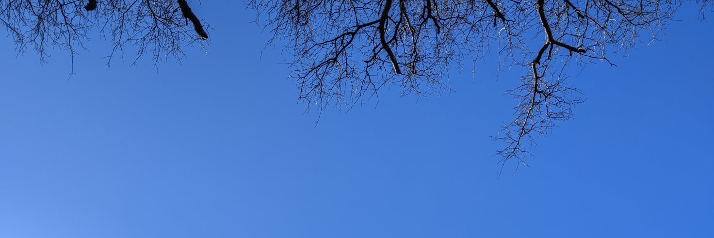 bransorem's profile banner image