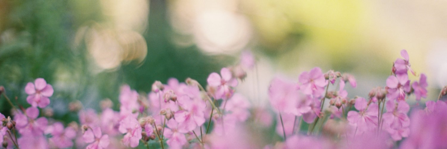 RetroFilmProjct's profile banner image