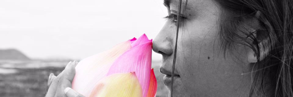 Samatoa Lotus Textiles banner