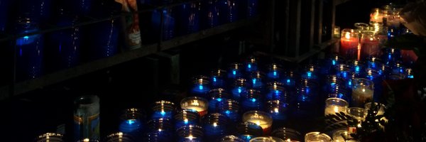 Beelightfull Profile Banner