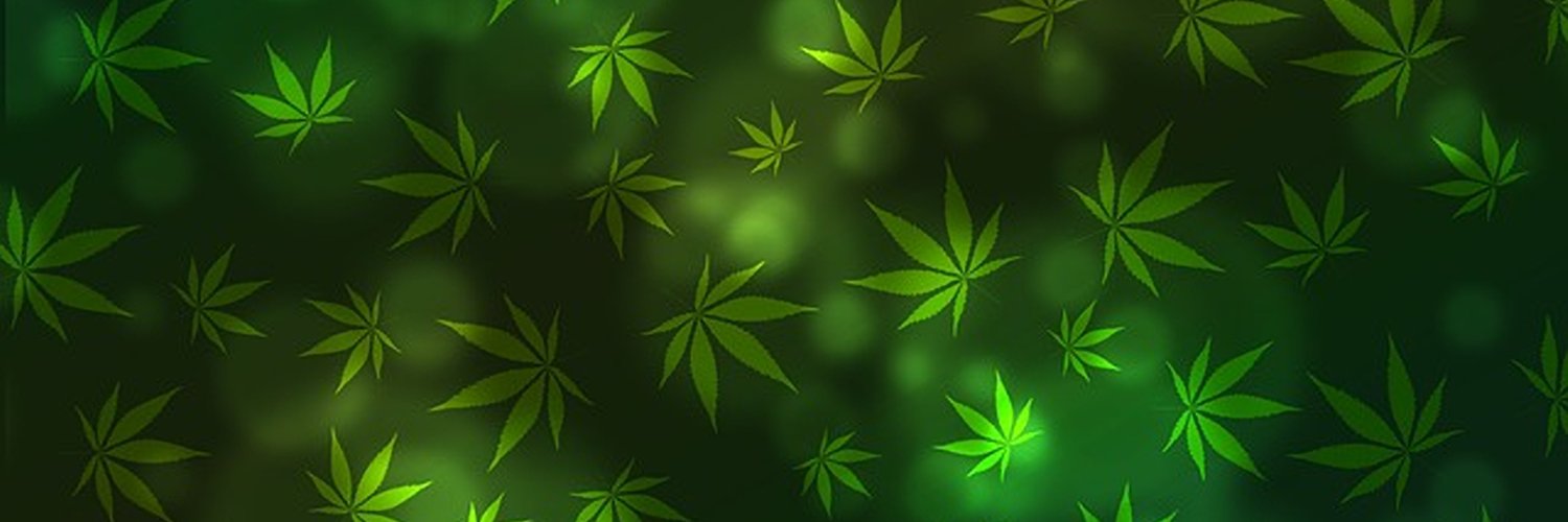 Furr the (Stoner) Bear banner