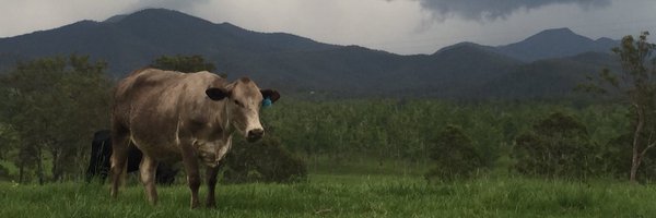 alrayner302 Profile Banner