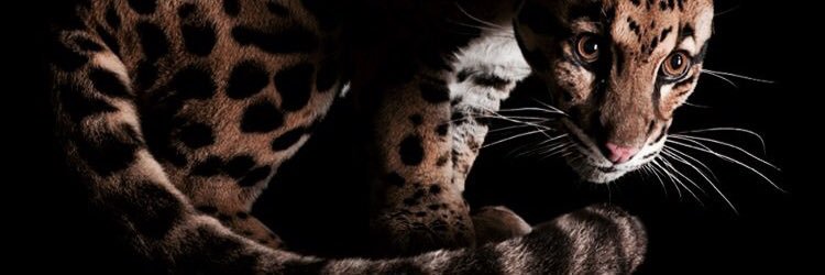 BeGar50's profile banner image