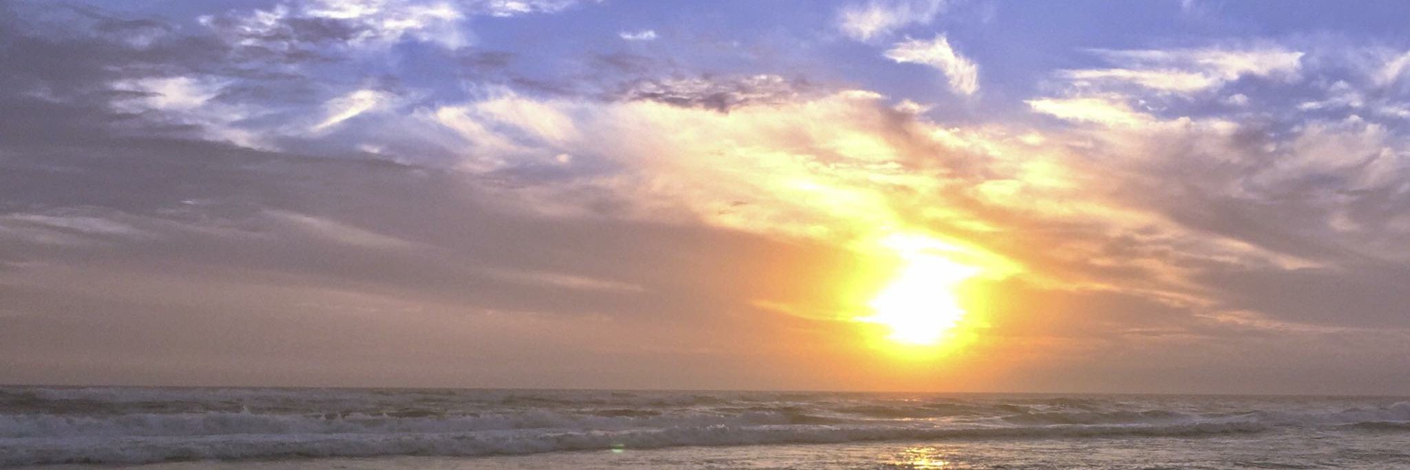 Beth Friedman banner