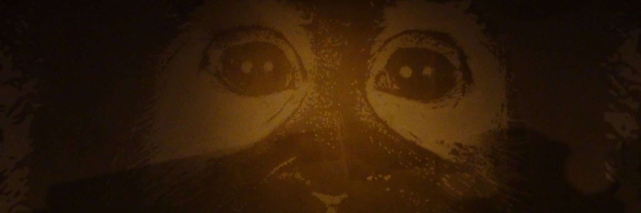 HarlemHusky's profile banner image