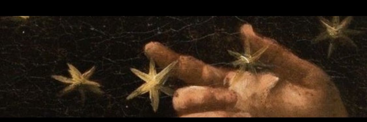neyleyiim's profile banner image