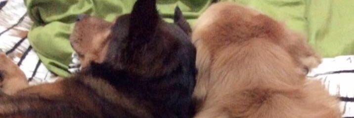 RyaWilson's profile banner image