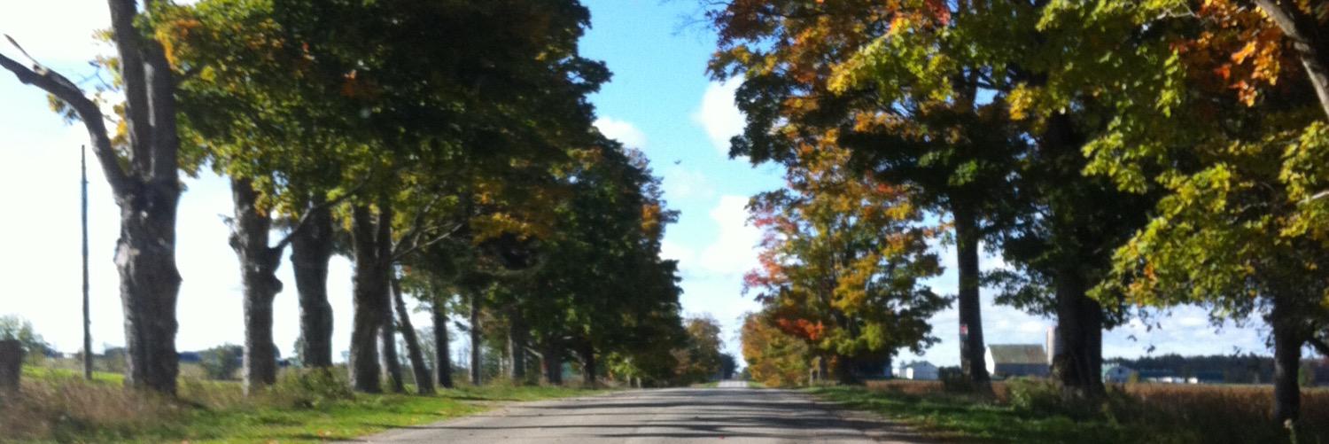 Emma banner