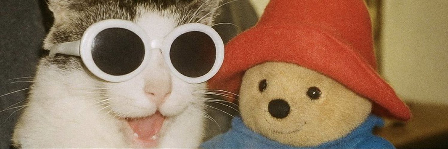 morre ATOMBIOS⚡️ (Muellmanfred fan acc) banner