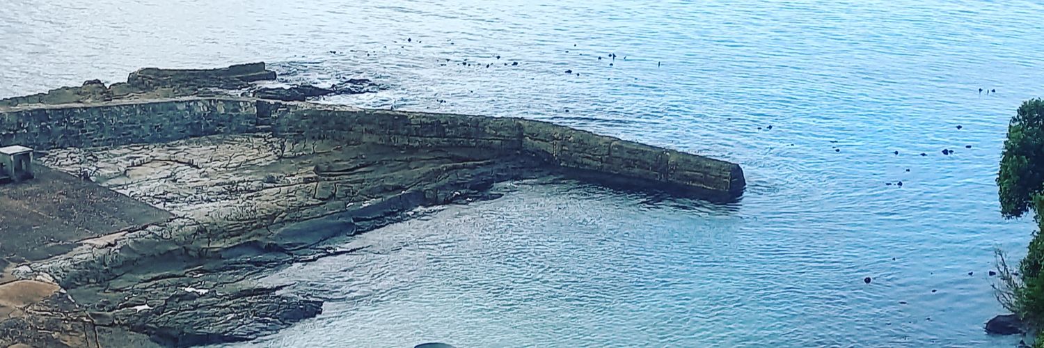 Hermanus Online banner