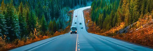 Dev15531111 Profile Banner