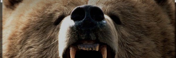 LaVerniaVB Profile Banner