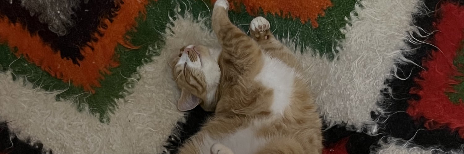 христя у намисті banner