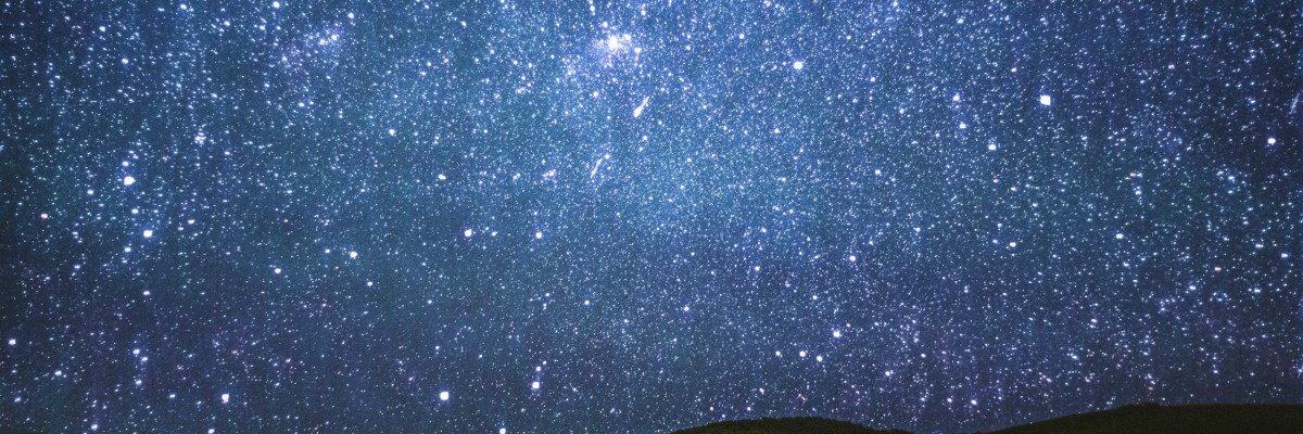 omxtyger's profile banner image